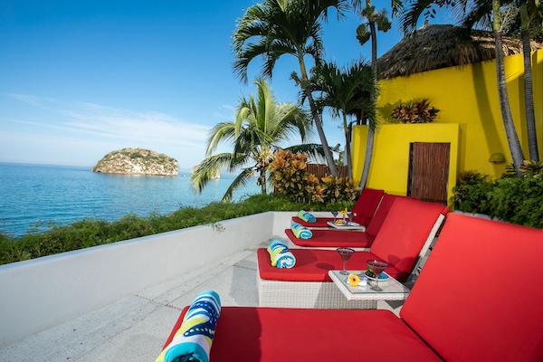 テラス / パティオ