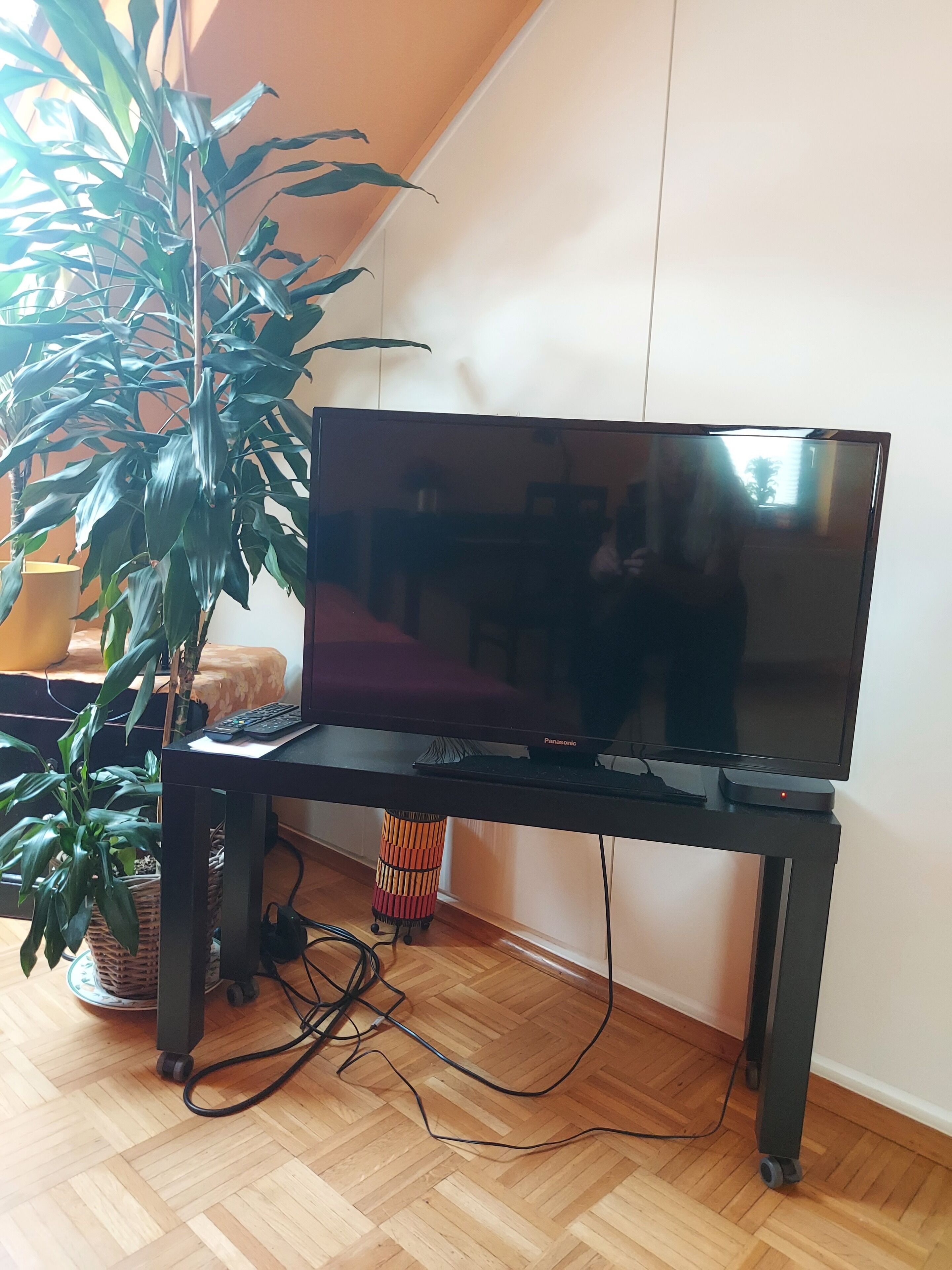 A flat-screen TV on a black stand with a remote and a cable box, a plant beside it, and a wooden floor.