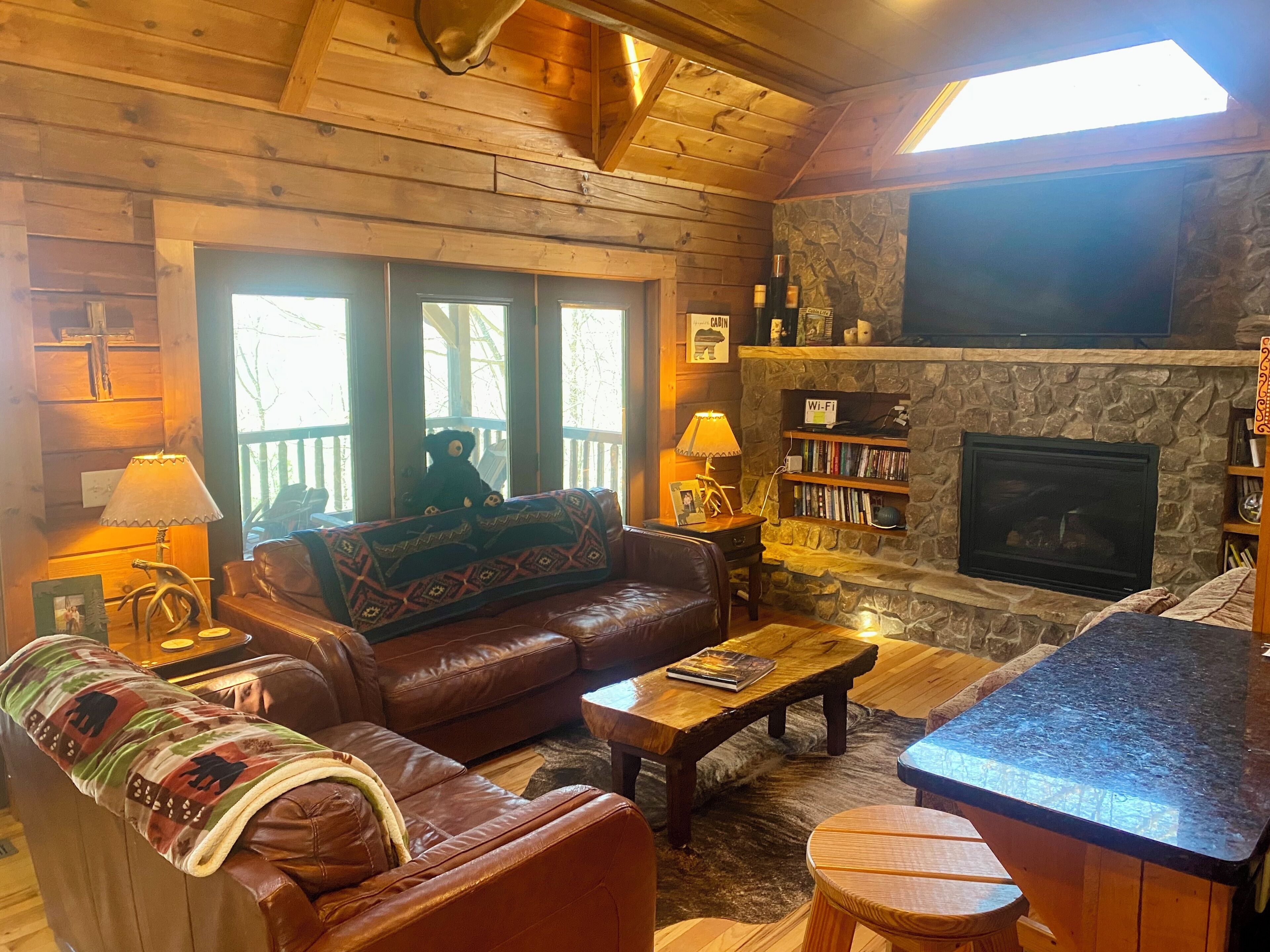 Smart TV, fireplace, DVD player, books