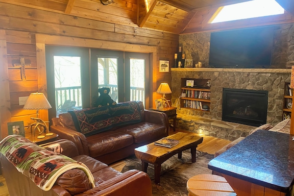 Smart TV, fireplace, DVD player, books