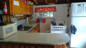 Fridge, microwave, oven, coffee/tea maker