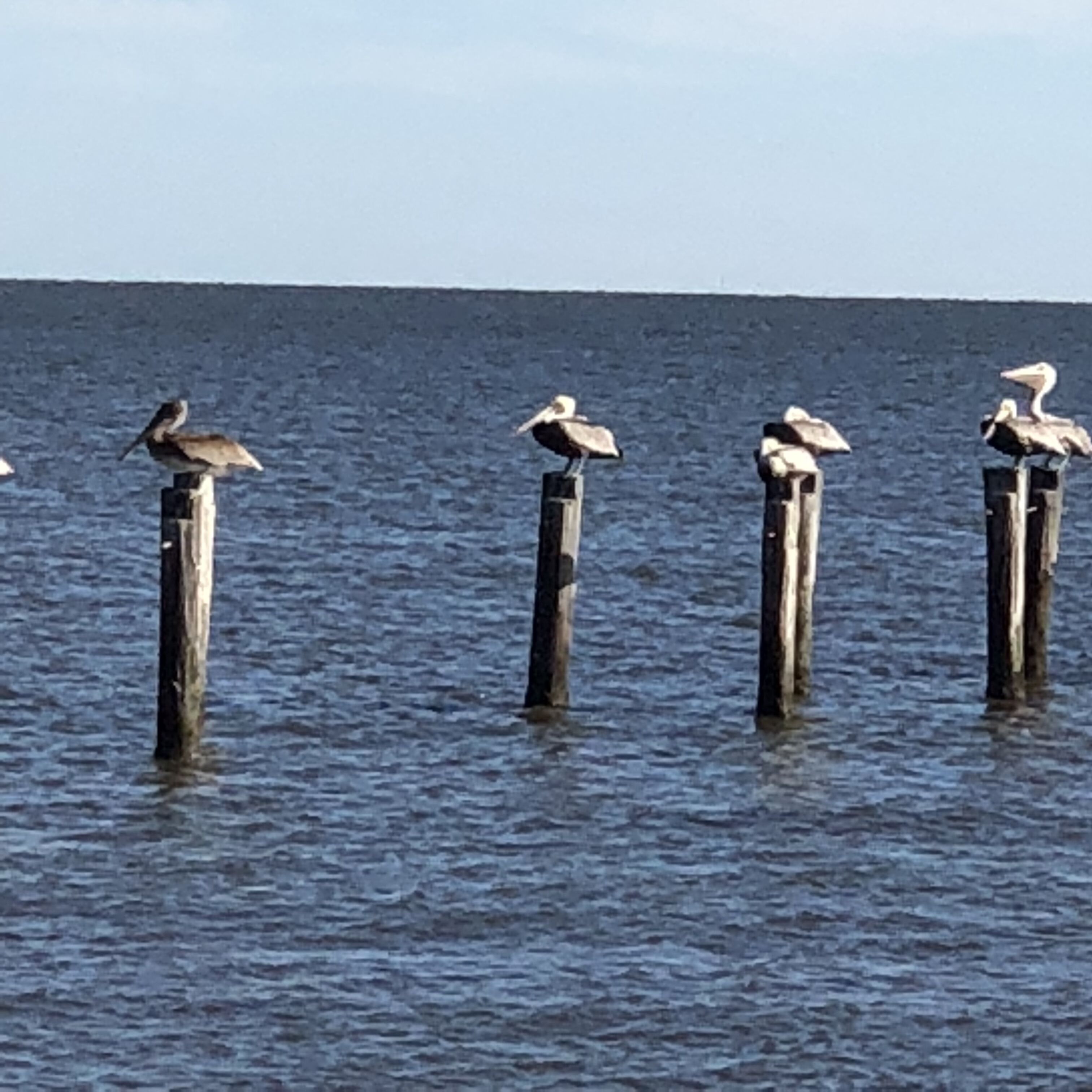 Stroll to the beach on this quiet street!