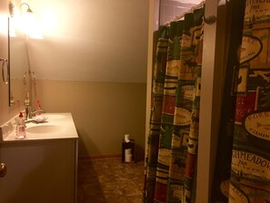 Combined shower/bathtub, jetted bath, toilet paper
