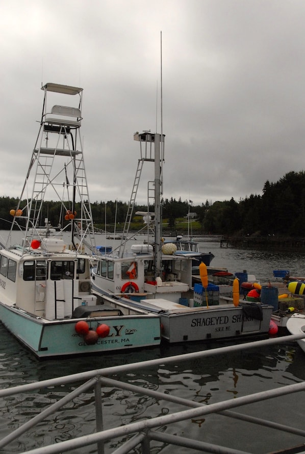 En fortøjet fiskebåd med kabine, fiskegrej og redningskrans.