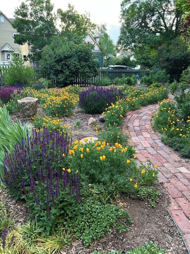 Apt. in Quiet Historic Neighborhood. 5 min. walk to shops, restaurants and bars