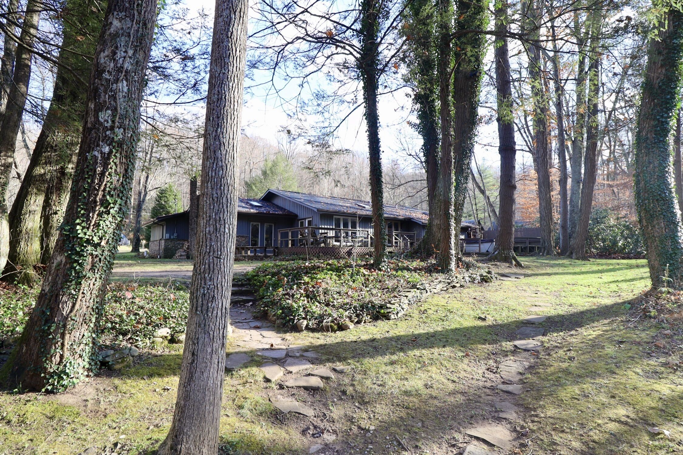 River Star - A Beauty Nestled In The Mountains- Shavers Fork Cheat River 