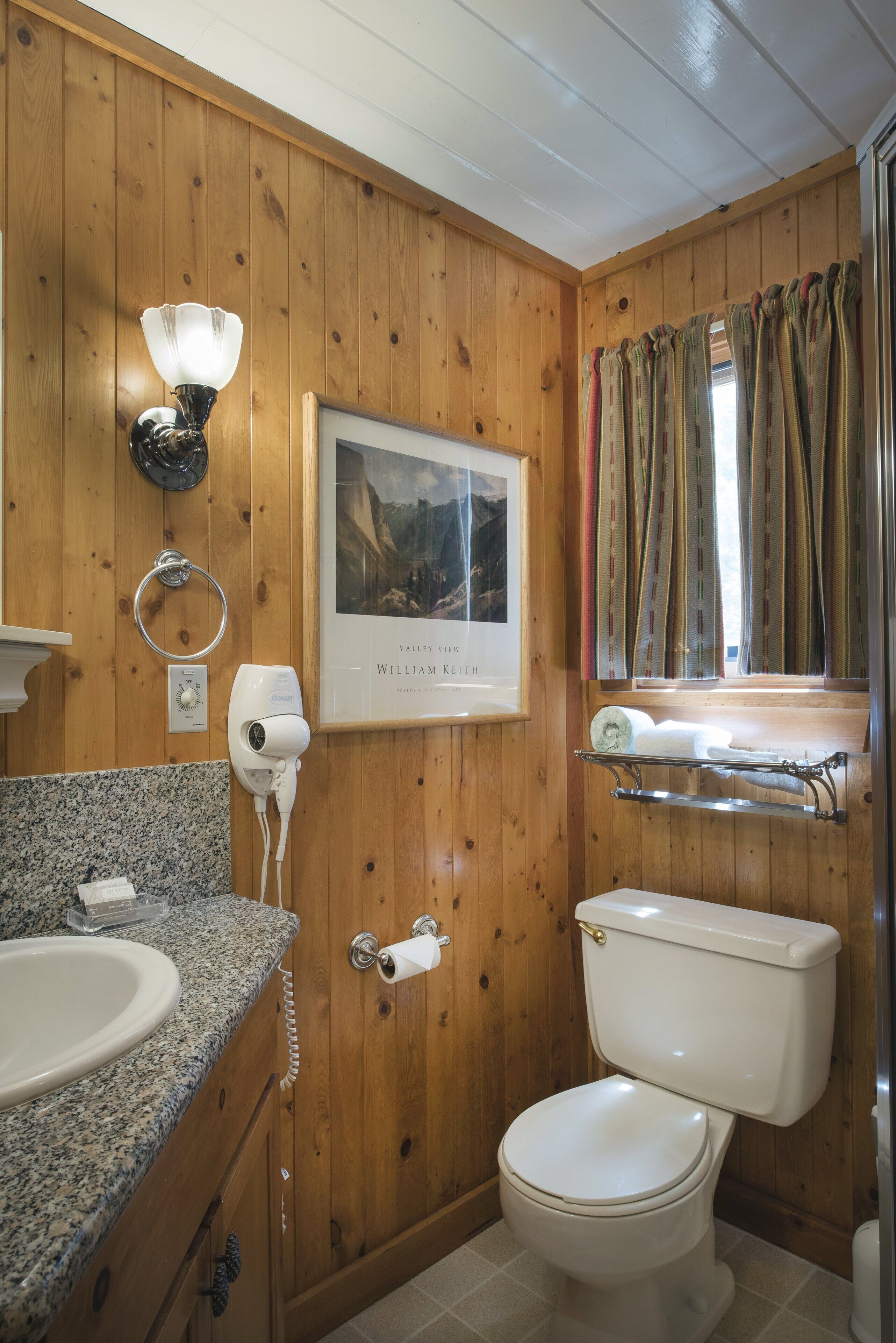 A wooden-paneled bathroom with a granite countertop sink, a white toilet, a hairdryer, and a framed picture on the wall.