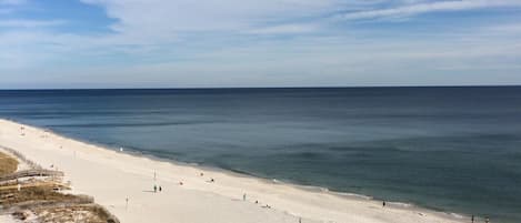 Plage, chaises longues, serviettes de plage