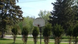 A basketball court with a hoop, surrounded by trees and a grassy area. - Bay Beach house. No roads to cross to beach.  Private beach.  (Fort Erie)