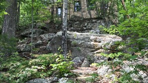 A stone staircase leading up a rocky path surrounded by dense forest and a stone building in the background.