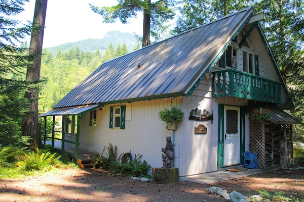 Sky River Cabin from the Driveway