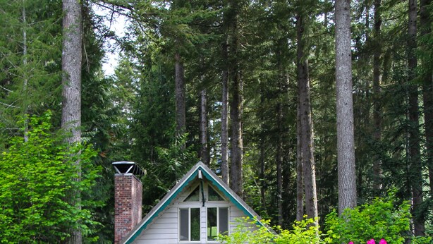 A cabin surrounded by dense forest, with a stone wall in the foreground and a small stream. - CABIN LOOKING ACROSS THE SKY RIVER AT THE WILD SKY WILDERNESS (Skykomish)
