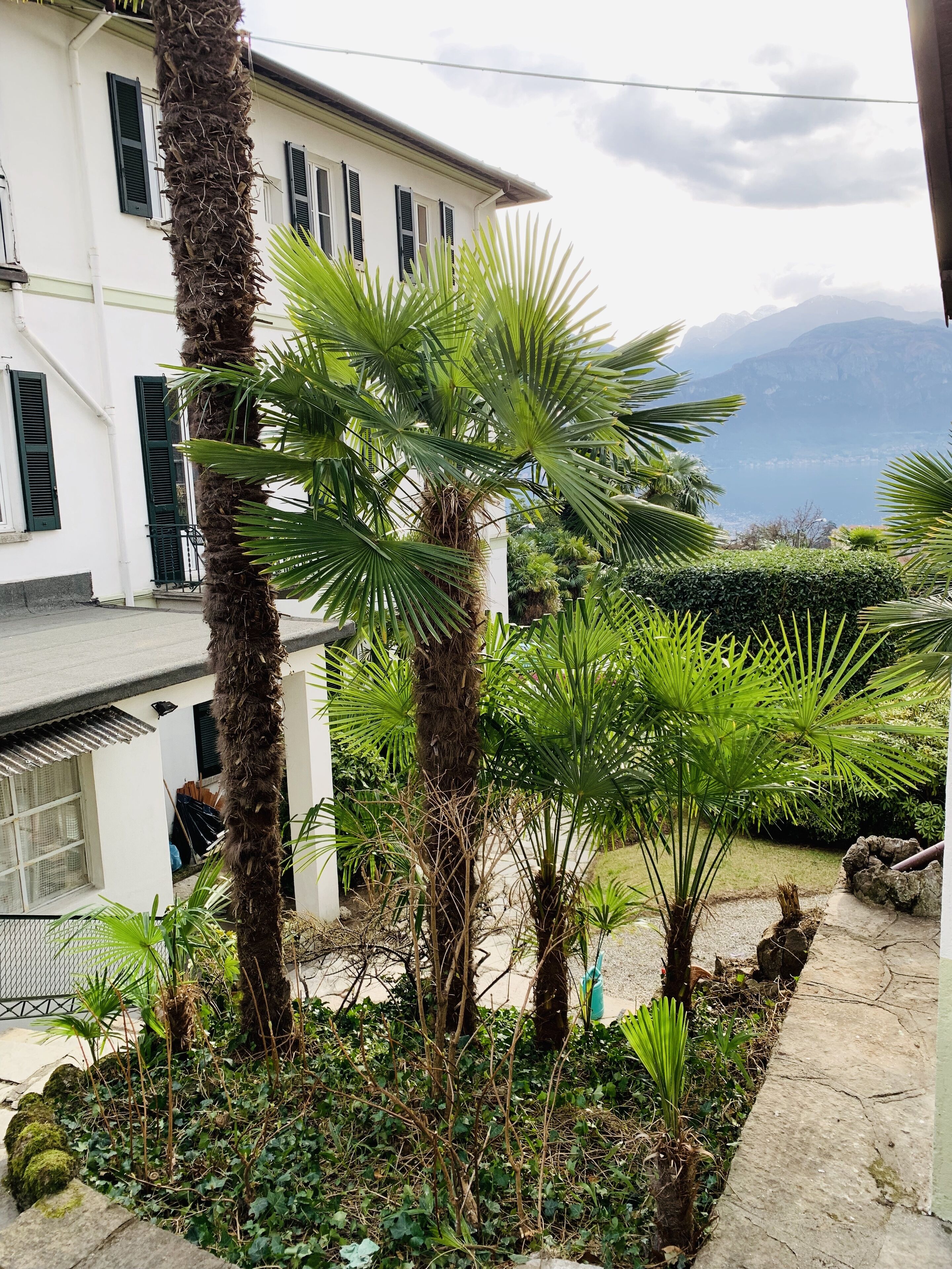 triple room | 1 bedroom, blackout curtains, free wifi, bed sheets