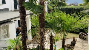 A white building with green shutters, surrounded by lush greenery including palm trees and various plants. - Hotel Loveno (Menaggio)