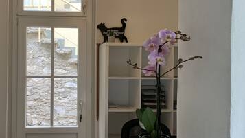 A room with a white door, a window, a ceiling light fixture, a bookshelf, and a potted orchid.