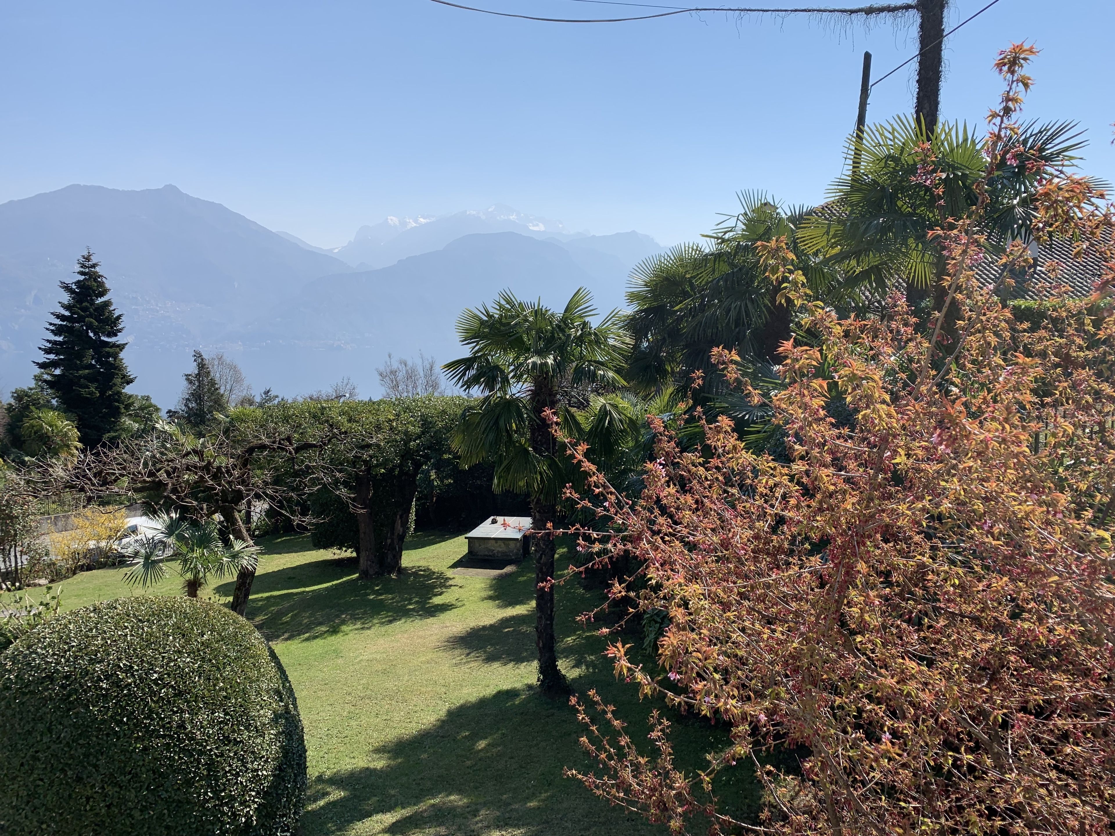 Ein gepflegter Garten mit verschiedenen Bäumen und Sträuchern, einem ordentlich geschnittenen Heckenrand und freiem Blick auf entfernte Berge.