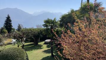 Ein gepflegter Garten mit verschiedenen Bäumen und Sträuchern, einem ordentlich geschnittenen Heckenrand und freiem Blick auf entfernte Berge.