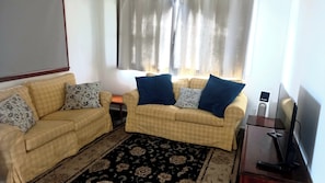 Una televisión, un reproductor de DVD, libros, una videoteca