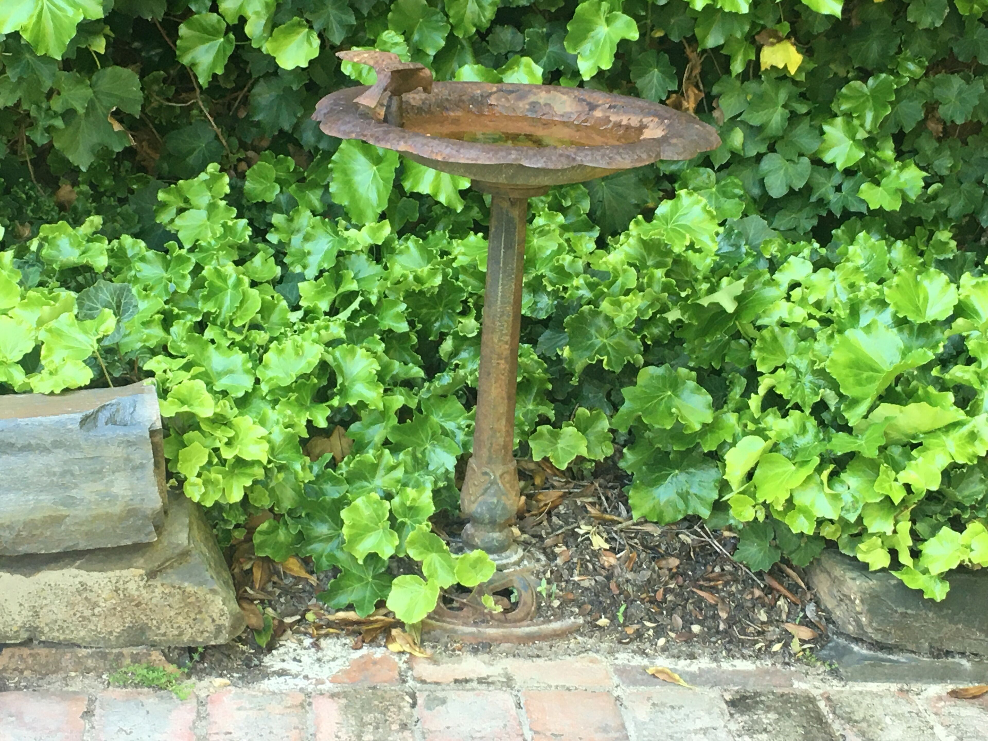 Lucias Cottage - in the heart of Port Elliot. JANUARY dates release — image 21