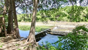 A natural setting with a pond, trees, and a wooden structure.