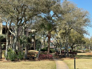 A pathway lined with trees and benches in a park-like setting.