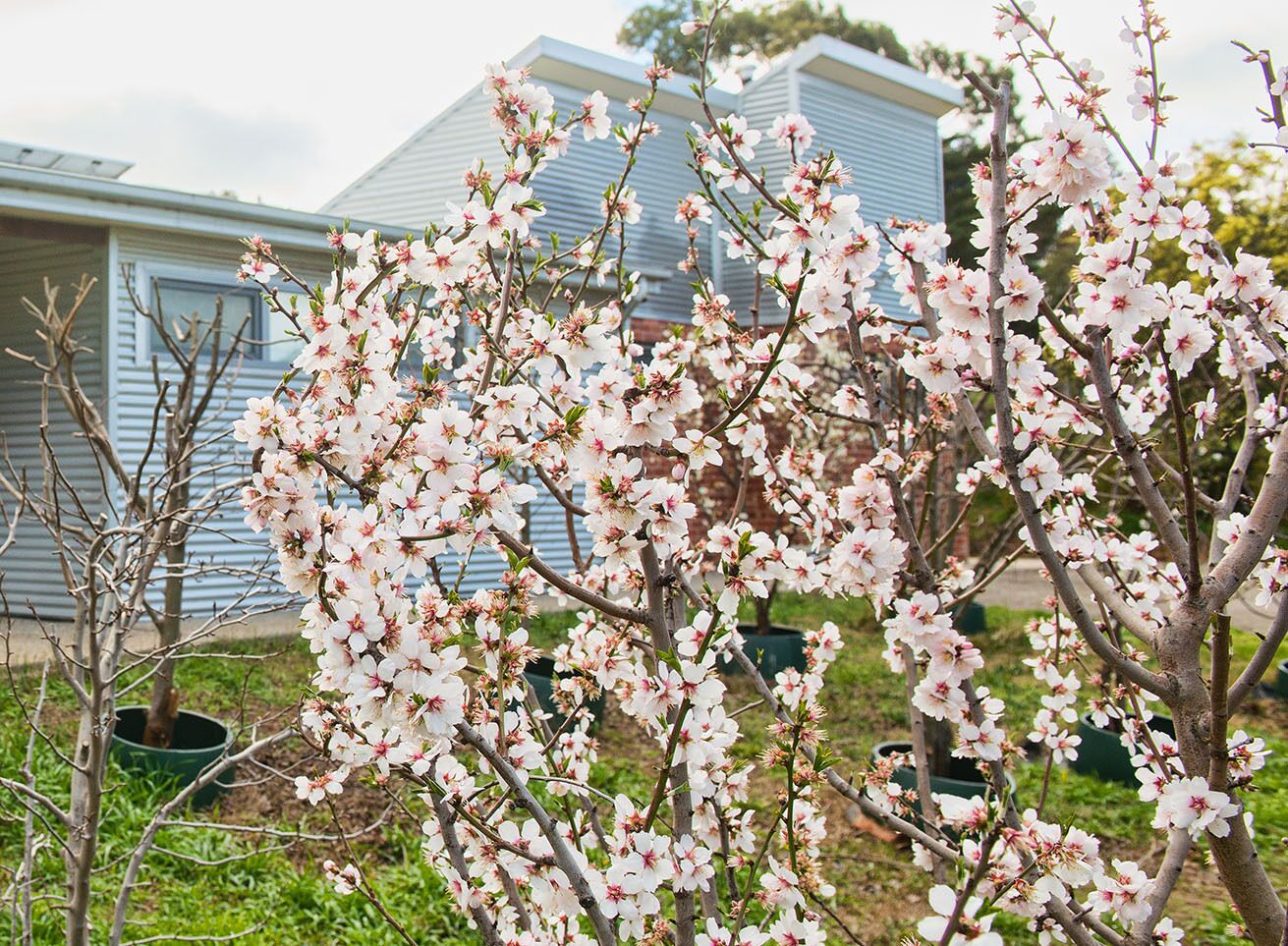 Relax and enjoy the space and tranquillity.  — image 24