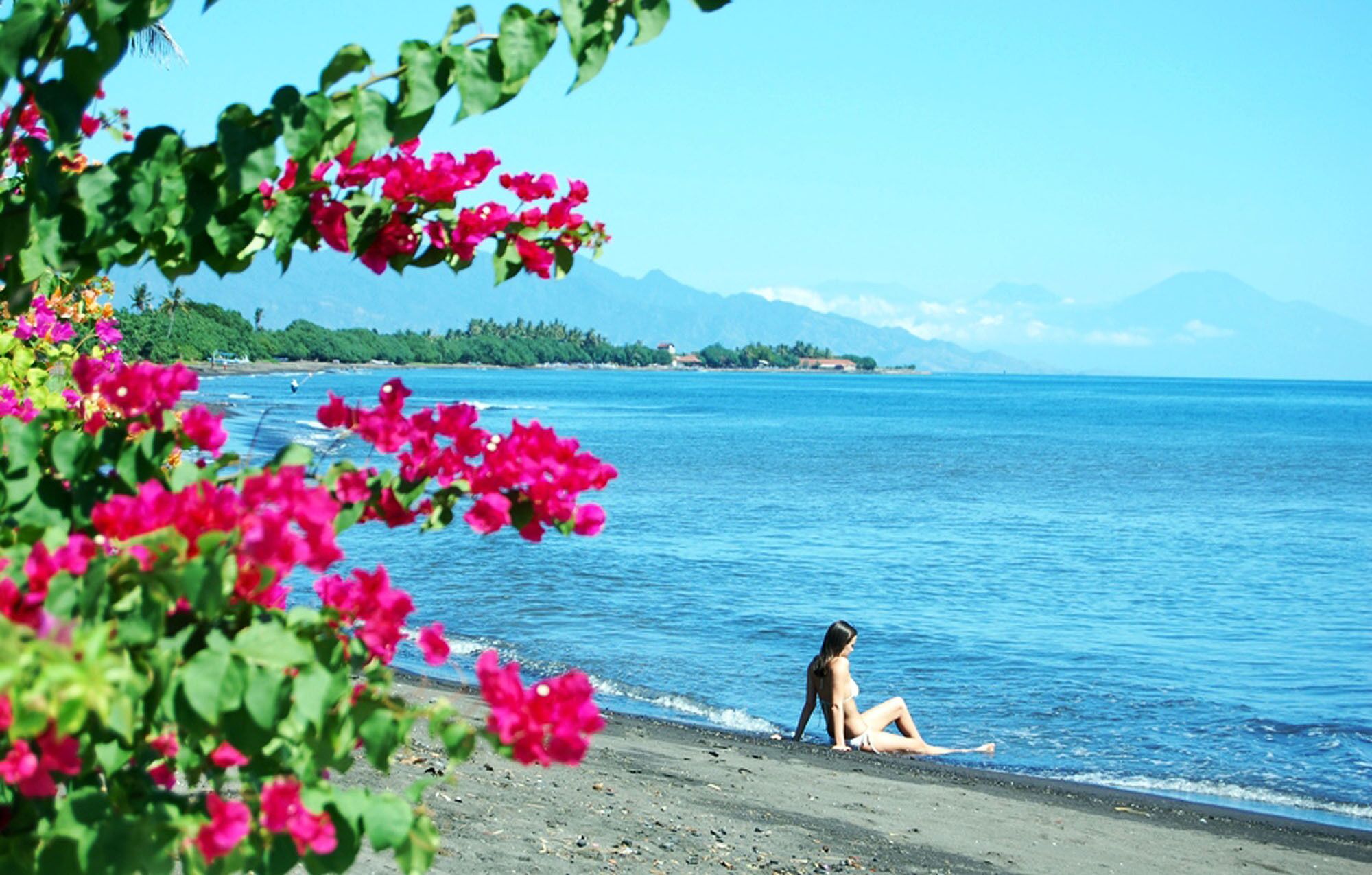 Spectacular Beach Front Villa - North Bali