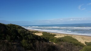 Un paisaje costero con playa, dunas y vegetación densa.