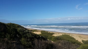 Playa