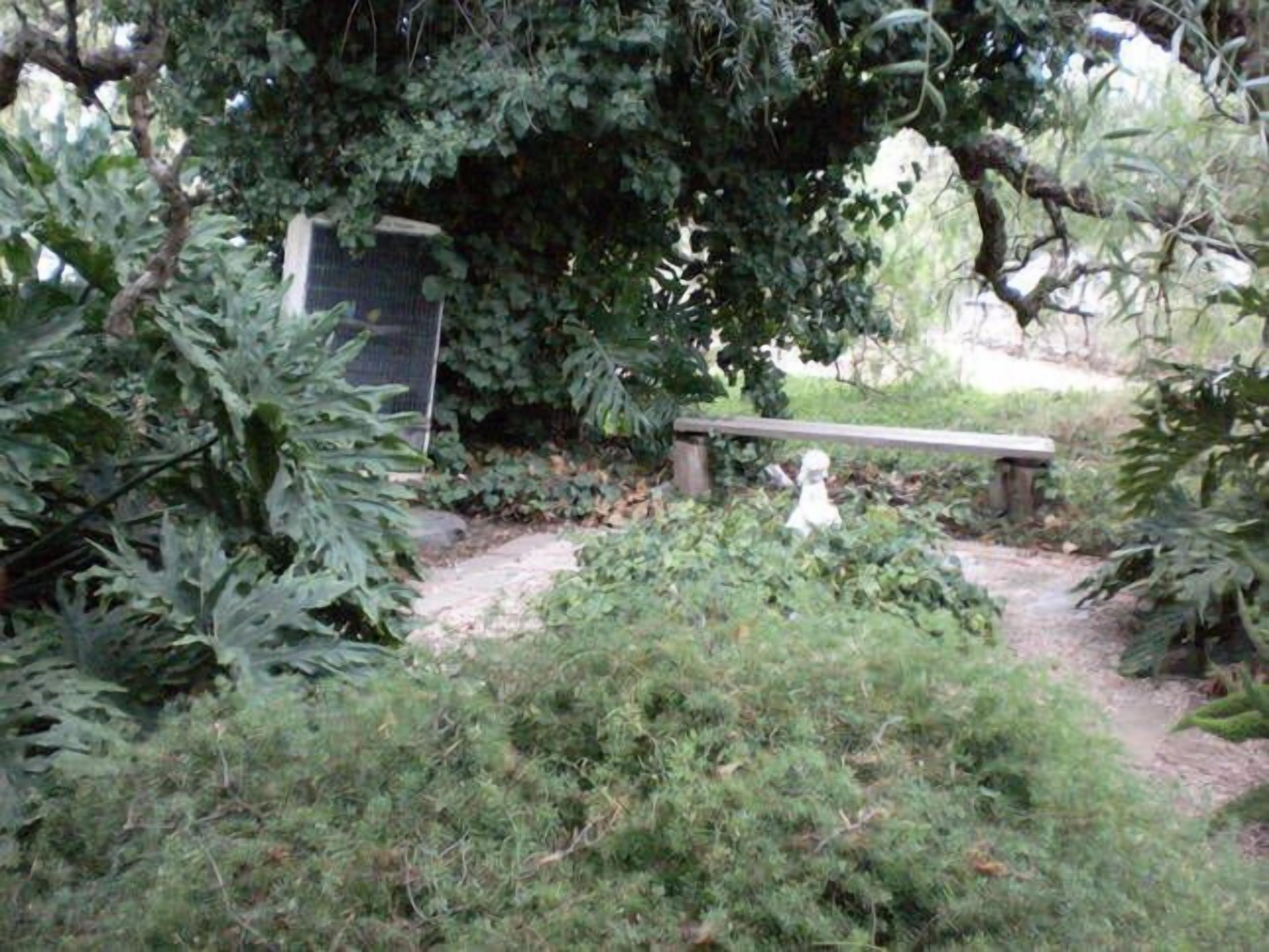 Norma's Place Self Contained Cottage — image 7