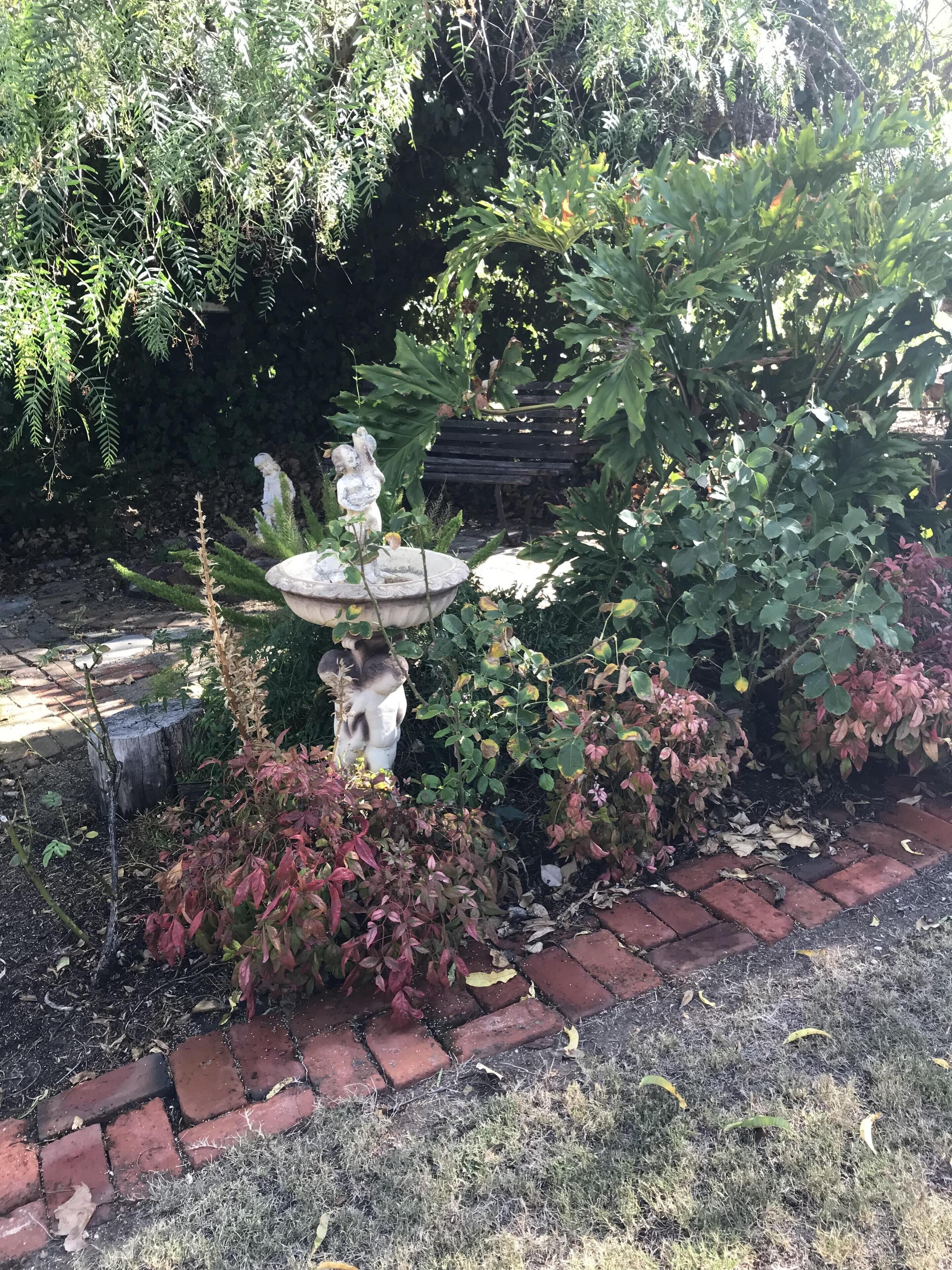 Norma's Place Self Contained Cottage — image 10