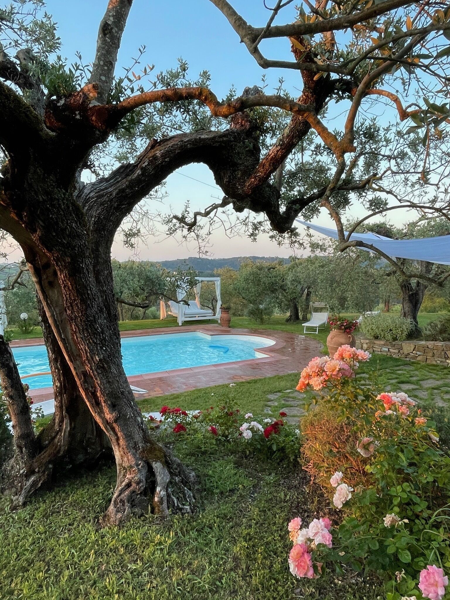 Alberca al aire libre 