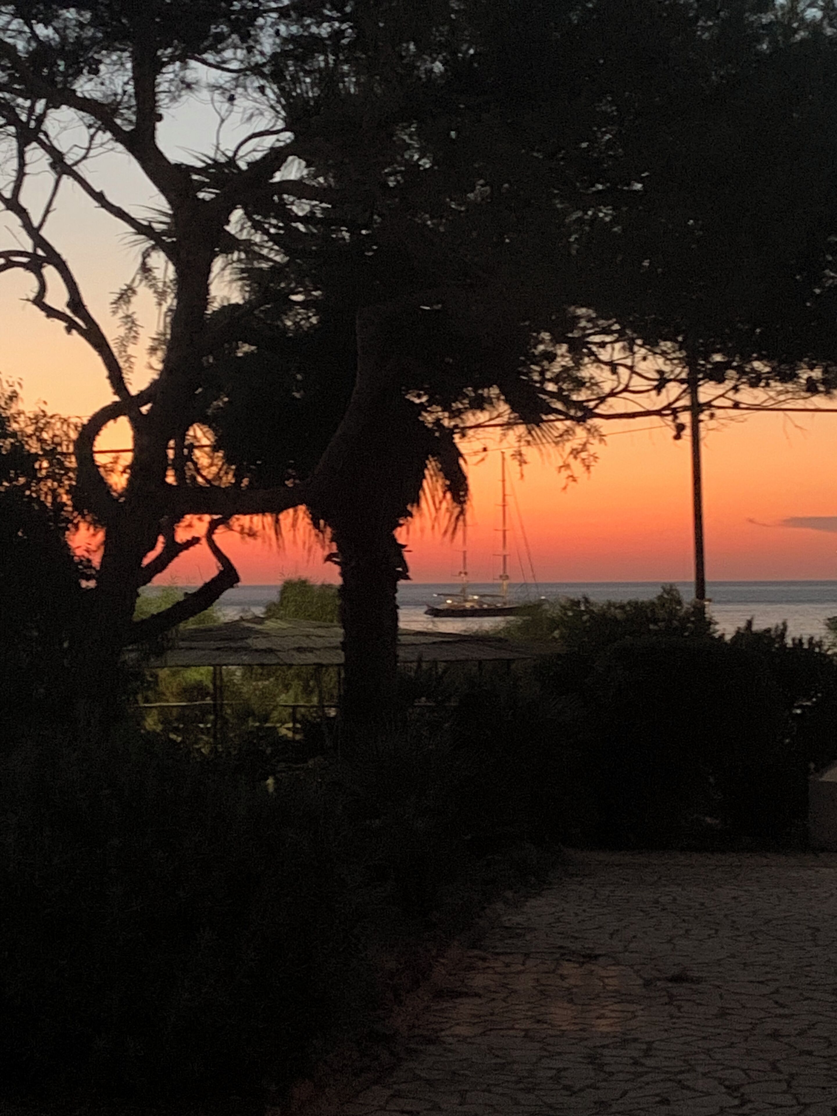 A sunset view with a boat on the water, trees, and a path.