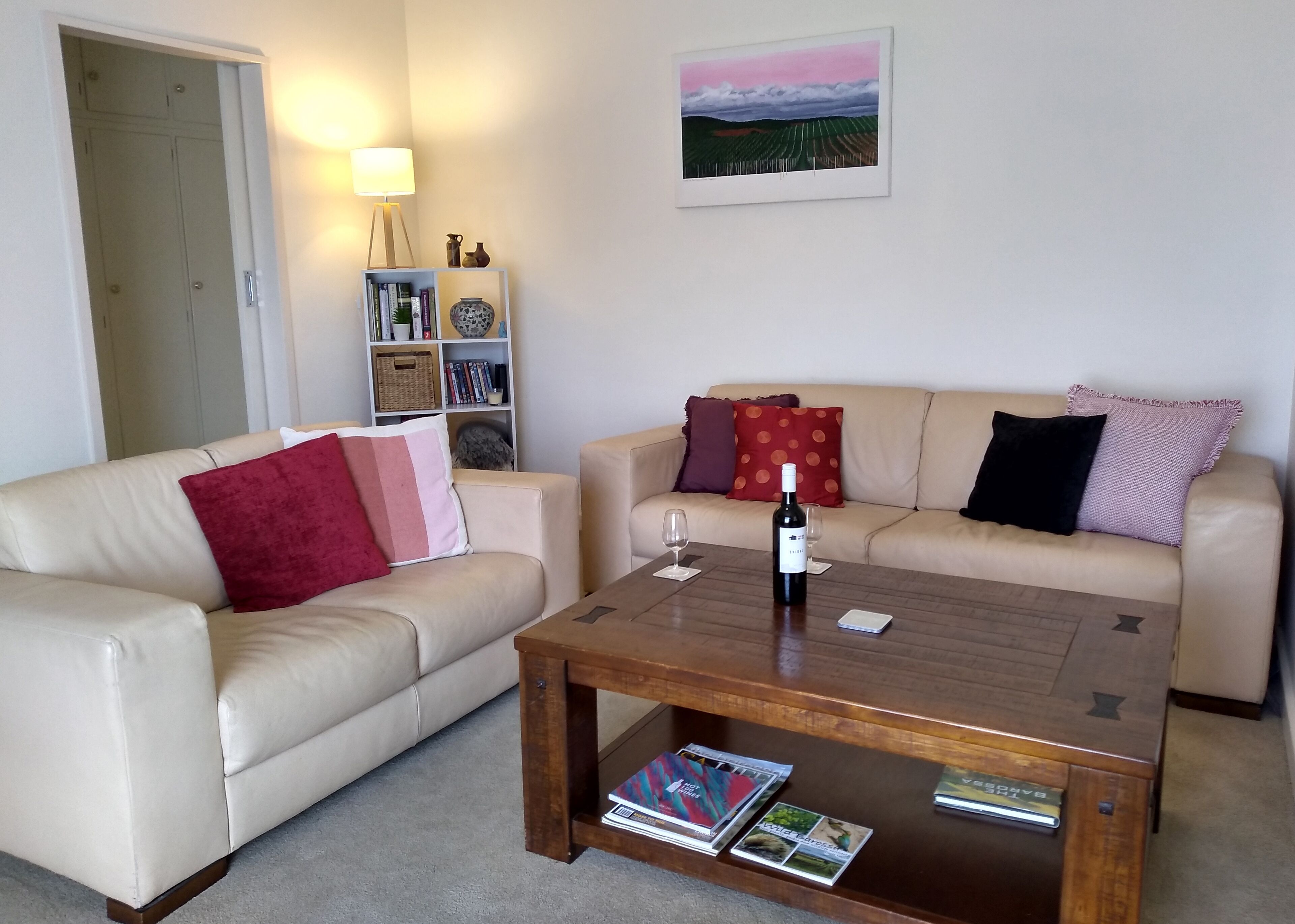 Télévision, cheminée, lecteur de DVD, livres