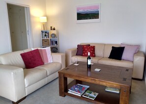 Televisión, chimenea, reproductor de DVD y libros