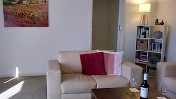 Televisión, chimenea, reproductor de DVD y libros
