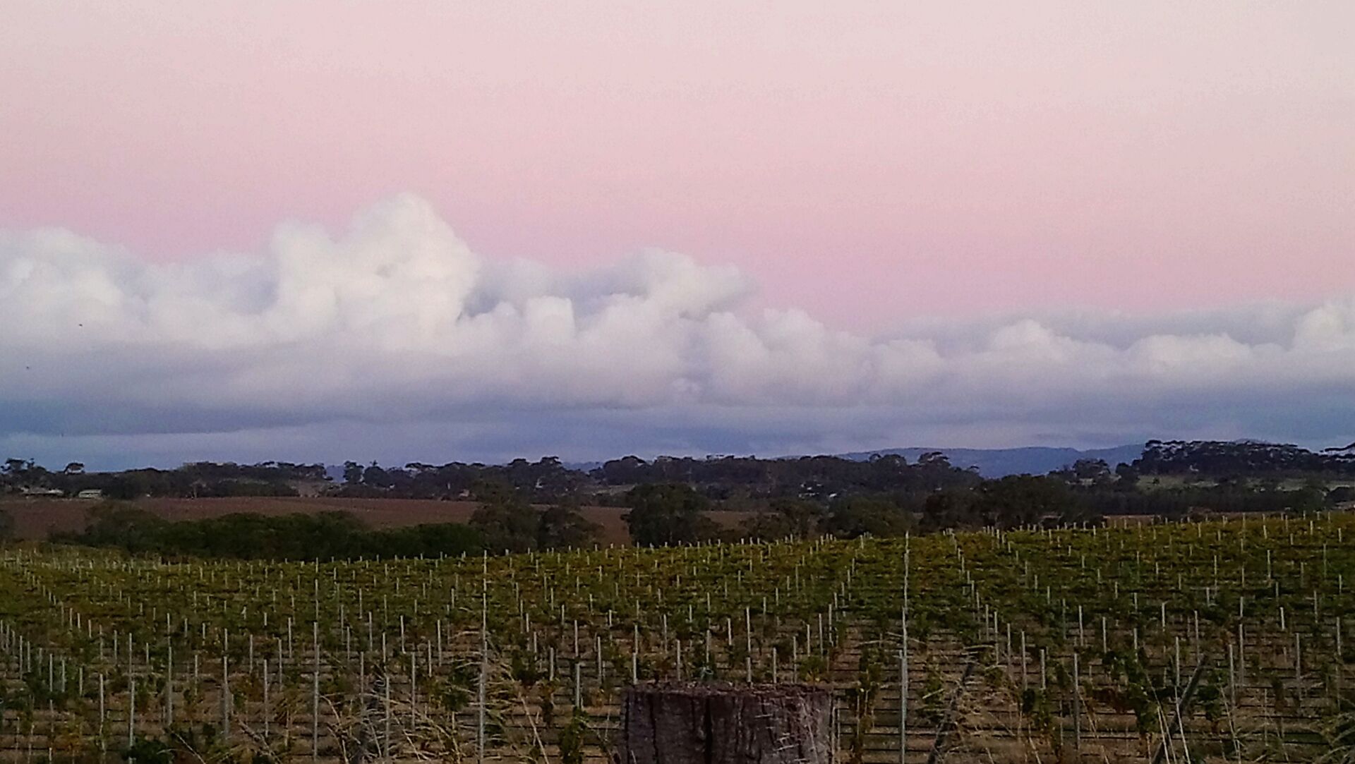 Ten-on-French Barossa getaway — image 5