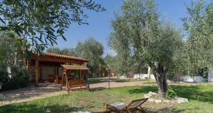 Borghetto Tio Pepe - Trilo 6 Mandarin