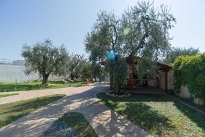 Property grounds - Borghetto Tio Pepe - Trilo 6 Mandarin (Mattinata)
