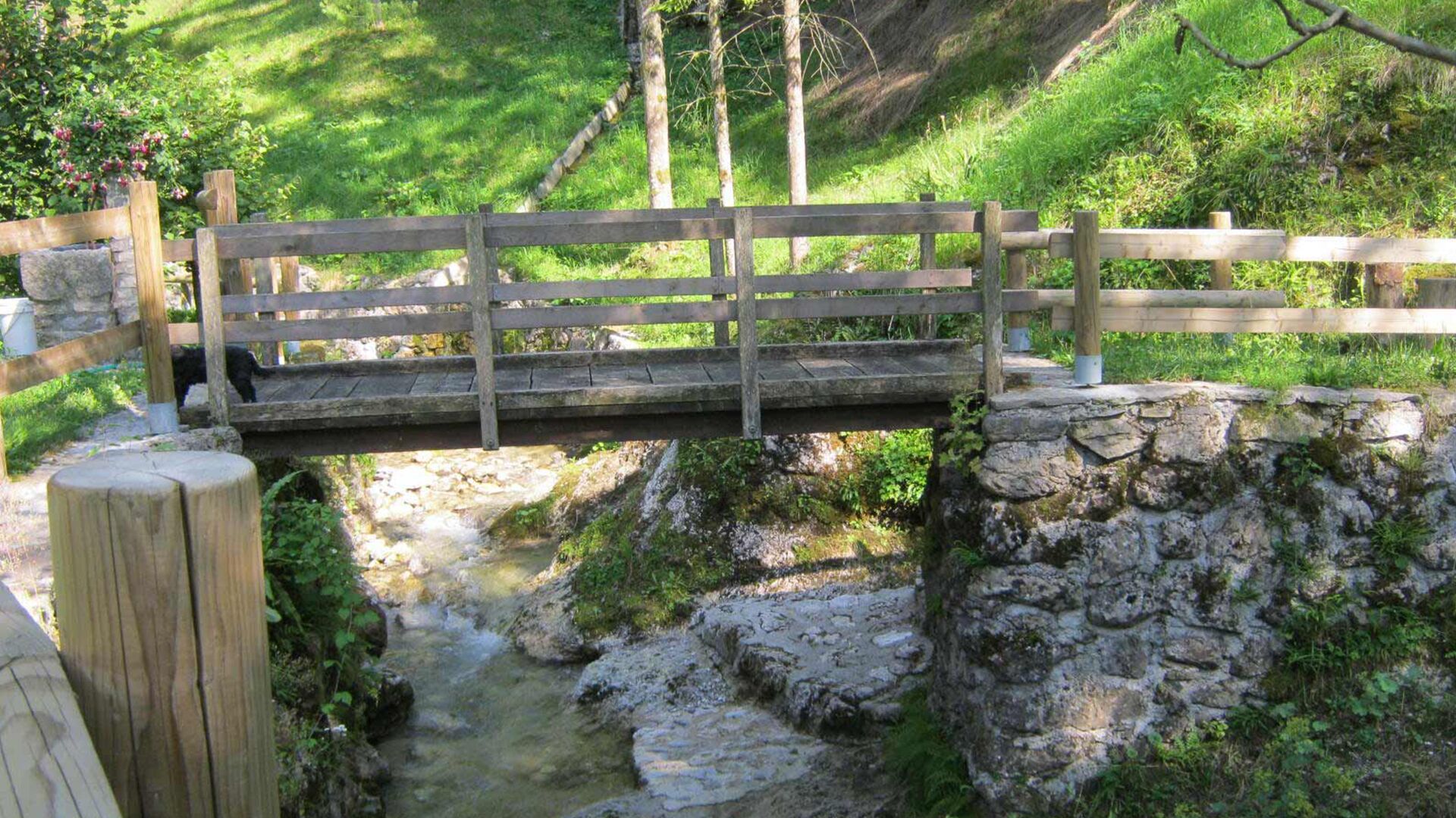 Bridge over the creek Hotenjka