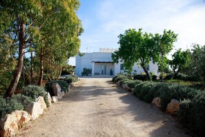 Un camino de grava que conduce a un edificio blanco con tejado de tejas, rodeado de jardines de rocas y árboles.