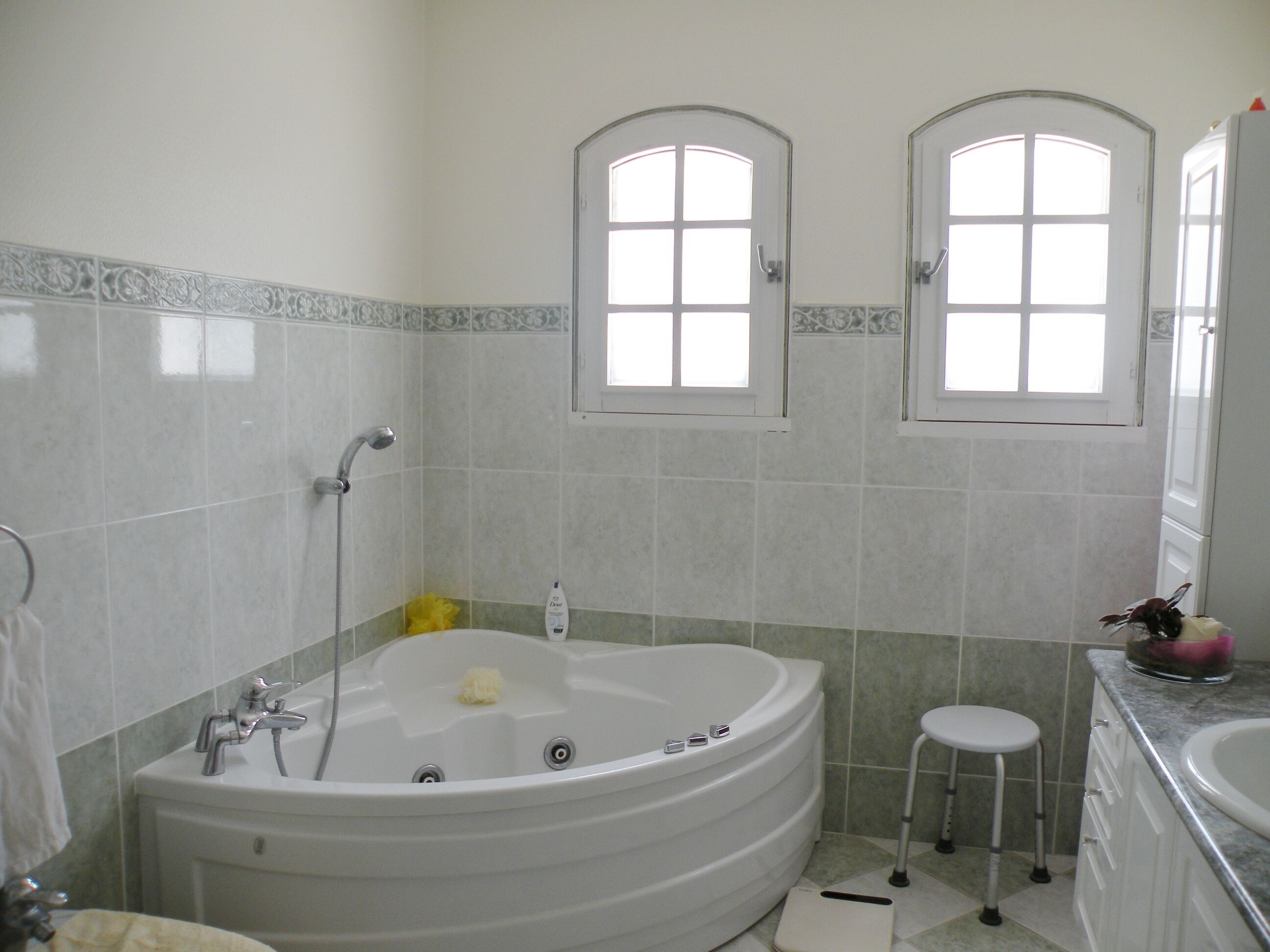 Come cocooning and enjoy the pool and hottub together, near the golf of Cognac!