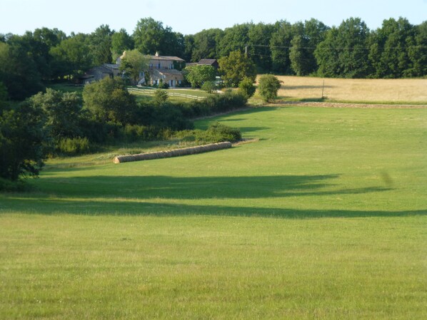 Terrein van de accommodatie