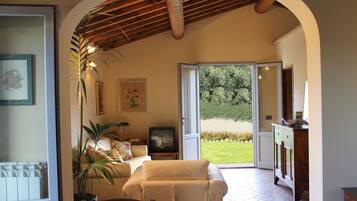 TV, lettore DVD, libri