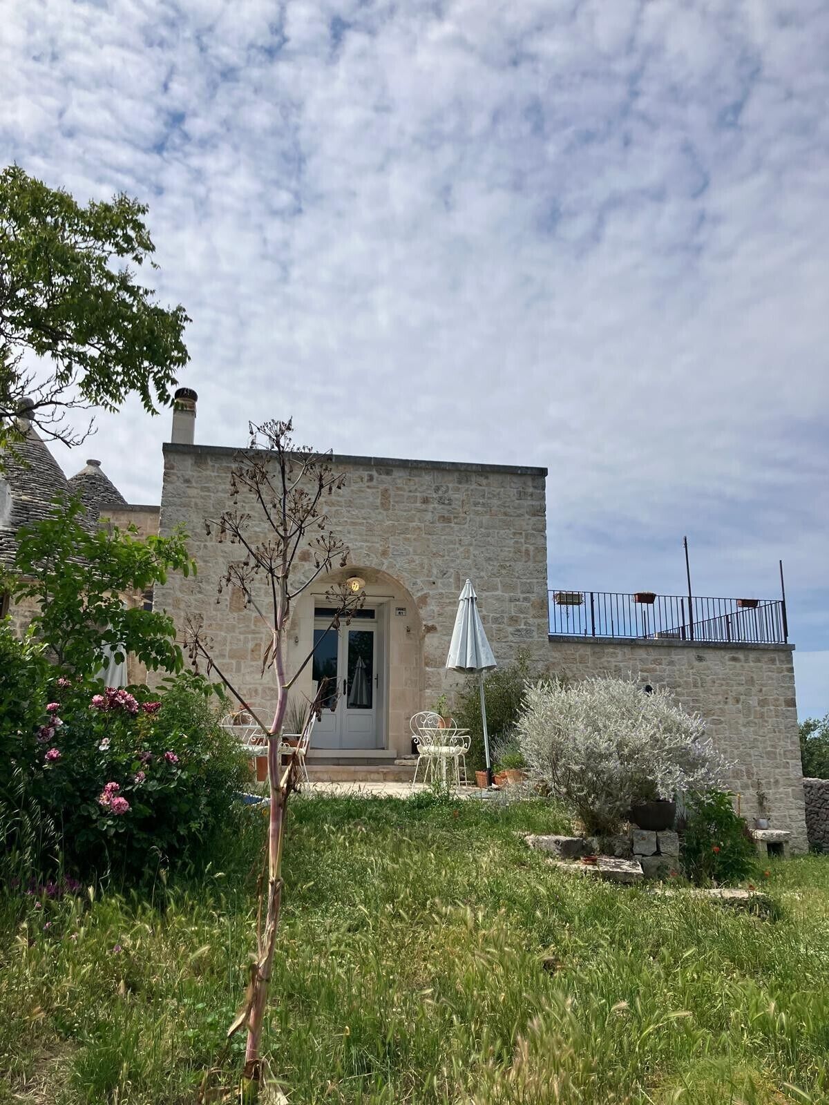 A stone building with a door, a small garden with a tree and flowers, and a metal fence.