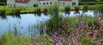 Maggie's Mews is een ruime moderne luxe cottage, prachtig uitzicht, huisdieren welkom