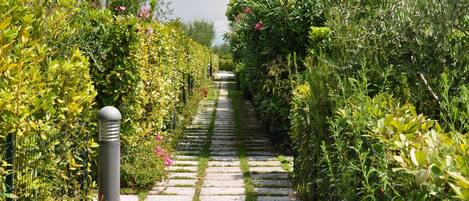 المنطقة المحيطة بالمنشأة