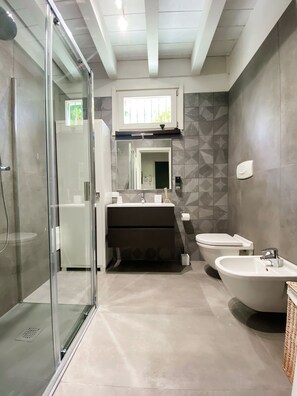Shower, hair dryer, bidet, towels
