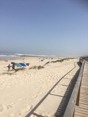 Sun-loungers, beach towels