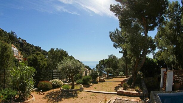 A garden with a pool, trees, and a view of the sea. - Club Villamar - Charming villa in peaceful surroundings with private pool and fabulous sea views (Tamariu)